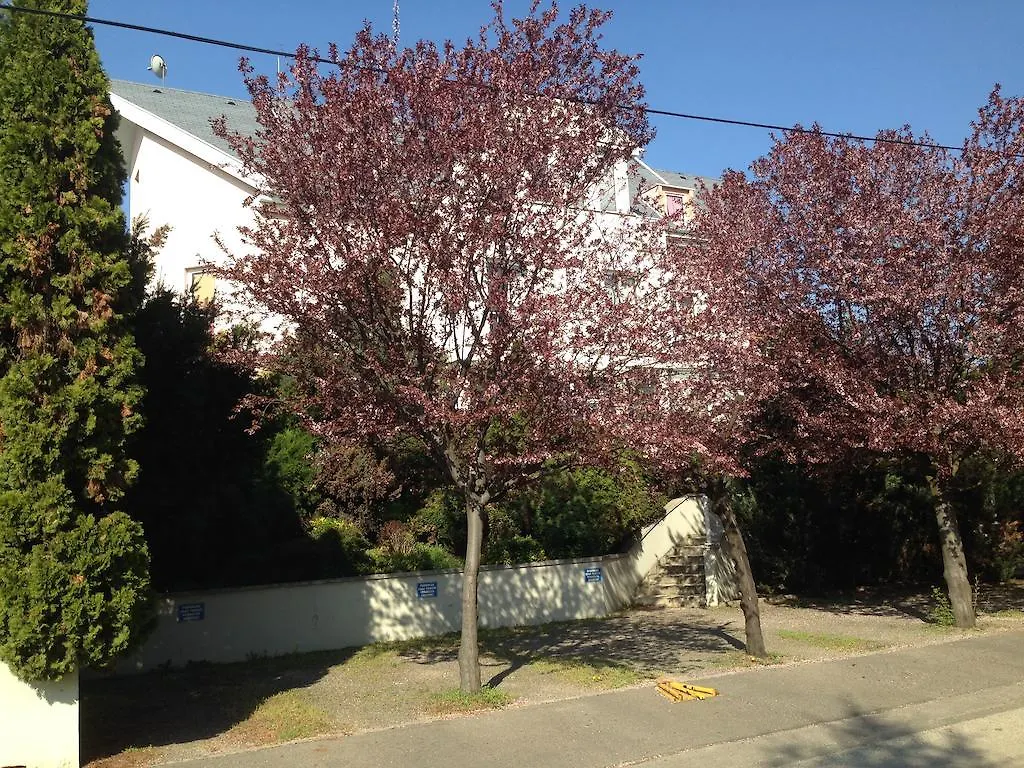 Belle Fleur Panzio Bed & Breakfast Budapest